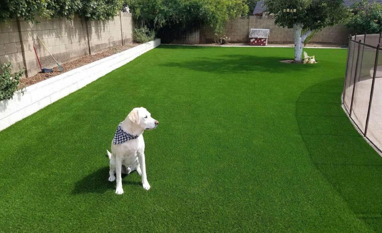 Pet-safe artificial grass with dog enjoying mud-free lawn in Lehigh Acres, FL